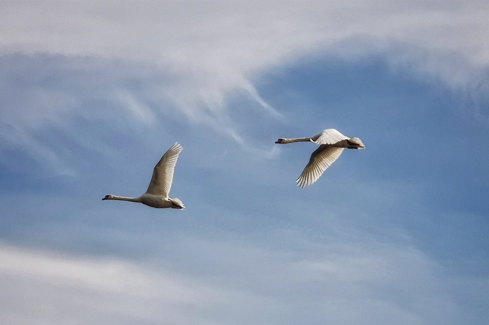 Photograph by Marcin Sokolowski - maarew