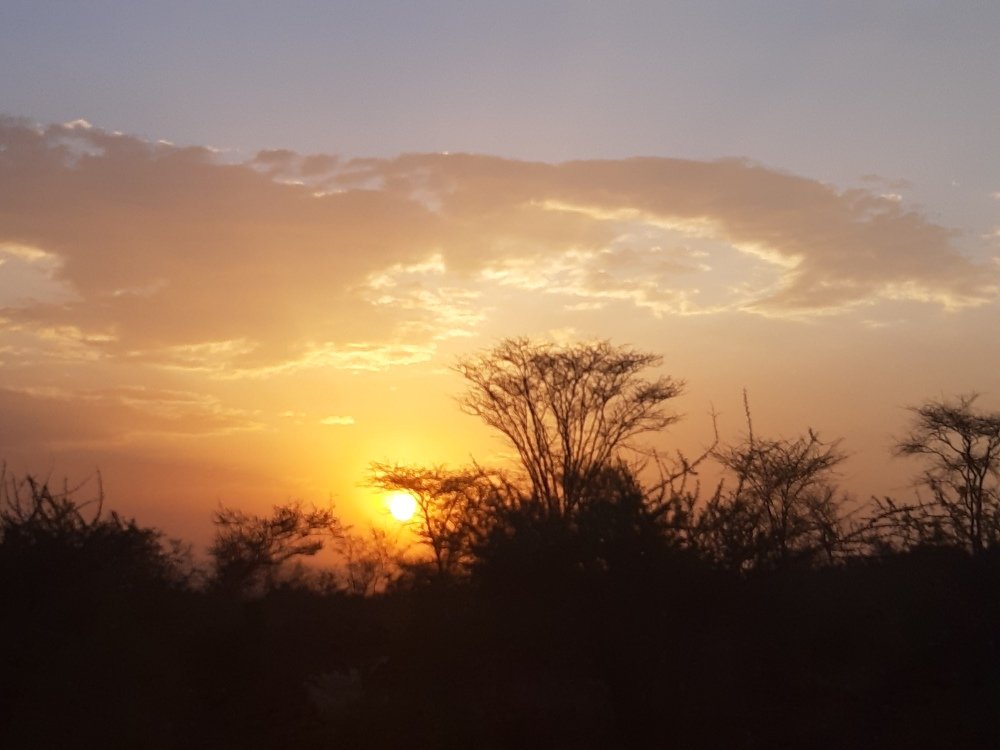 Photograph by Seleshi ABEBE