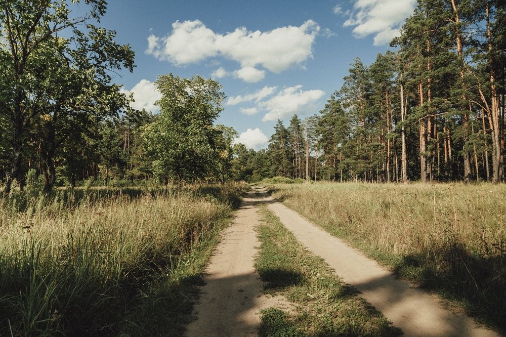 Photograph by Галина Шеватурина