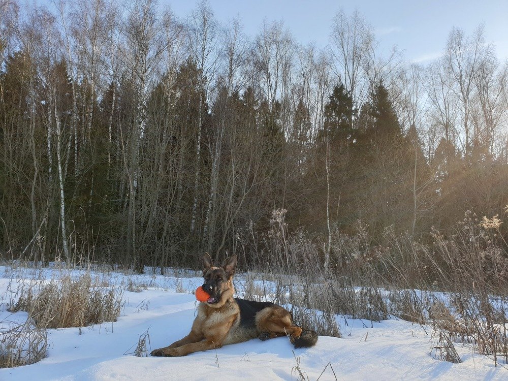 Photograph by Дмитрий Бородин