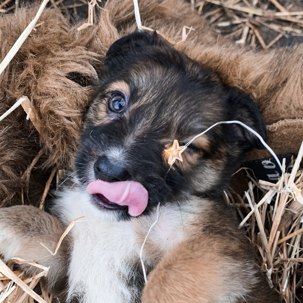 Photograph by Марина Пальчех