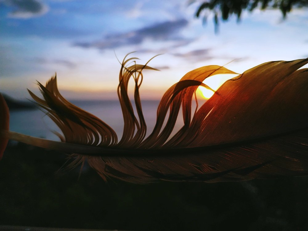 Photograph by Екатерина Харитонова