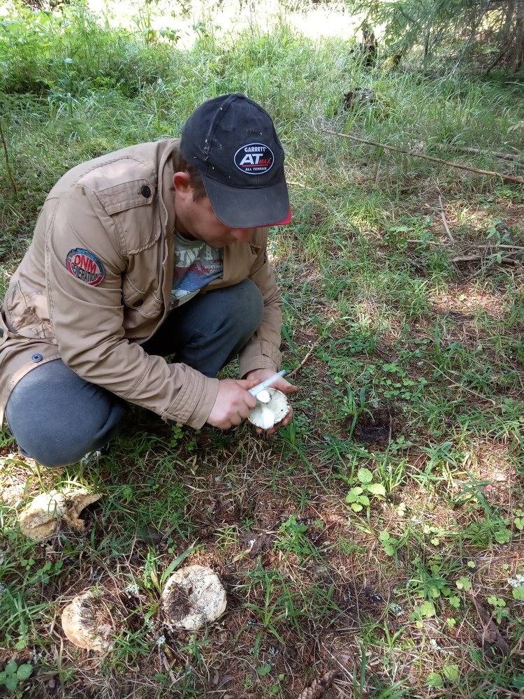 Photograph by Любовь Шаврина