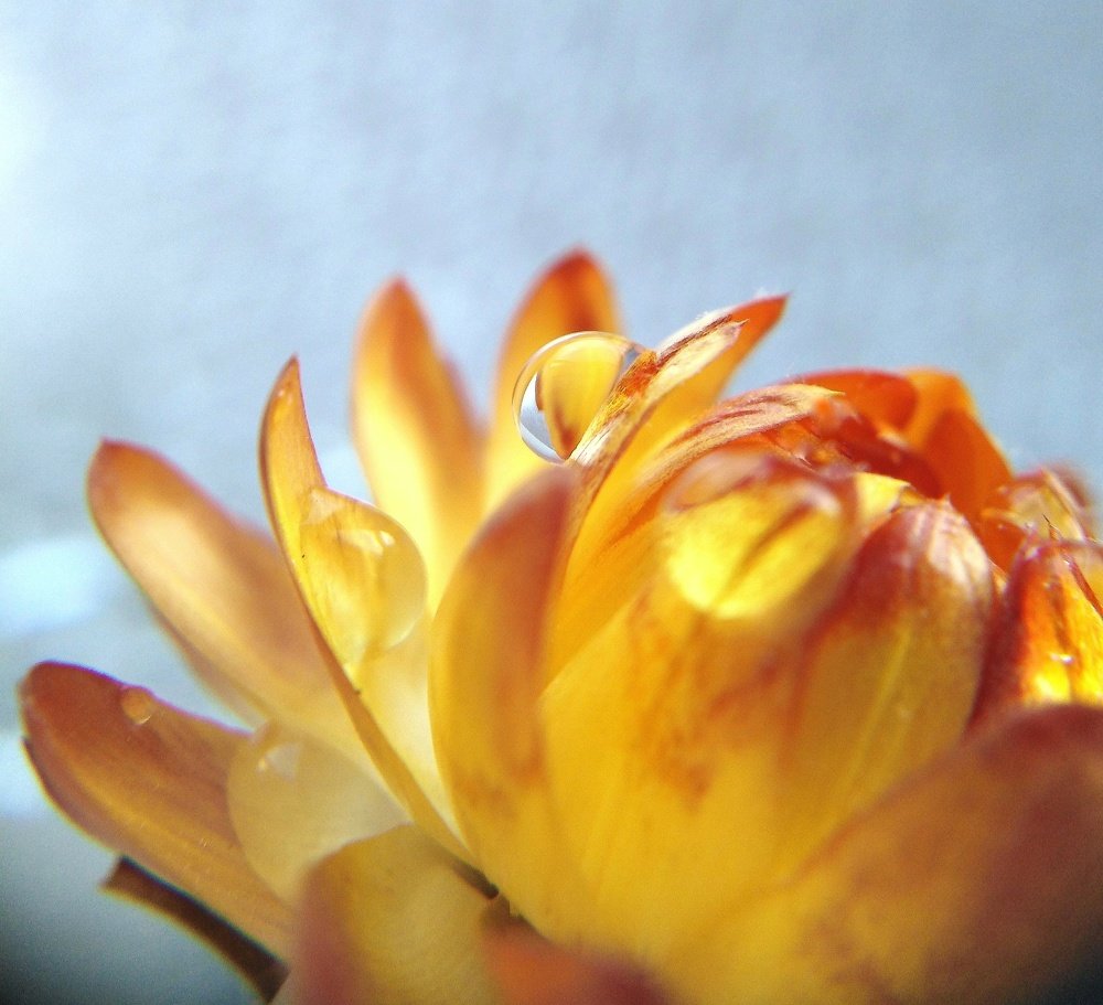 Photograph by Natalia Barsukova