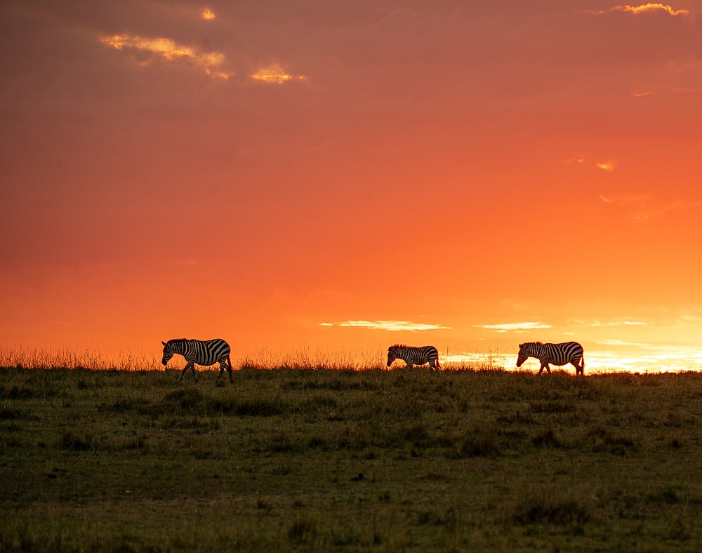 Photograph by Dr.suresh Chhabra