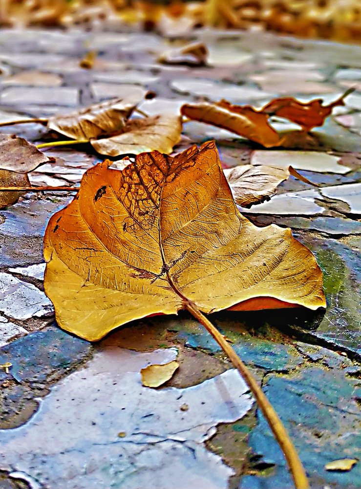 Photograph by ABHAY VYAS