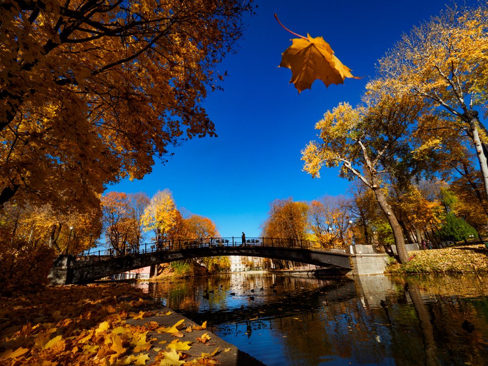 Photograph by Александр Губарев