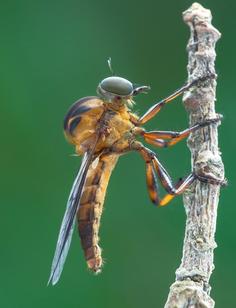 Photograph by Chuah Christopher