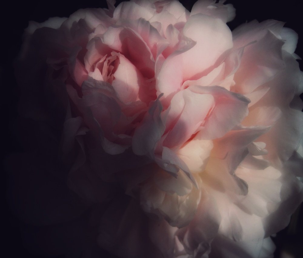 Photograph by Людмила М