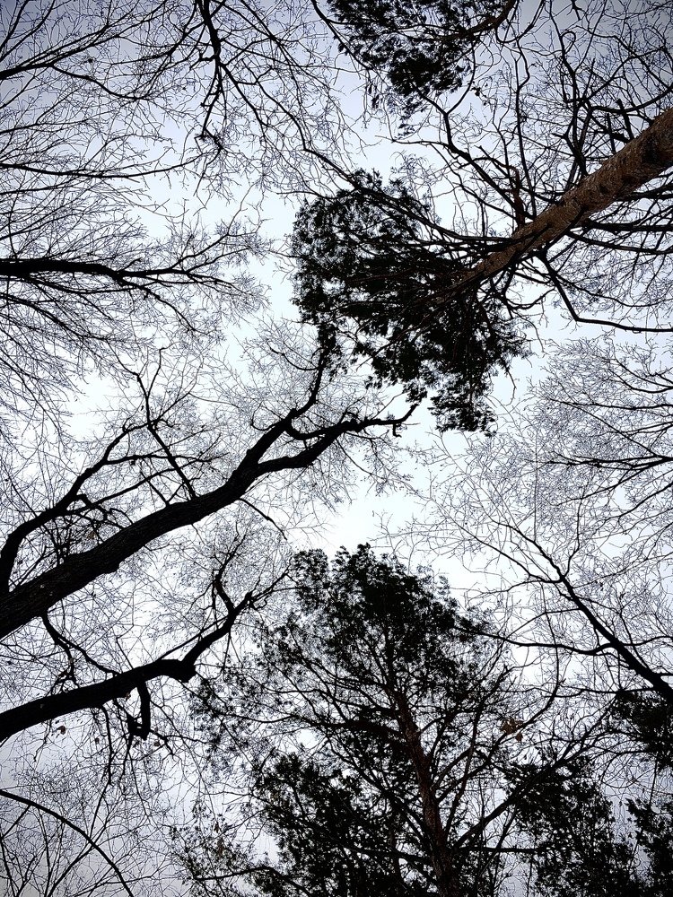 Photograph by Виктория Бейлис