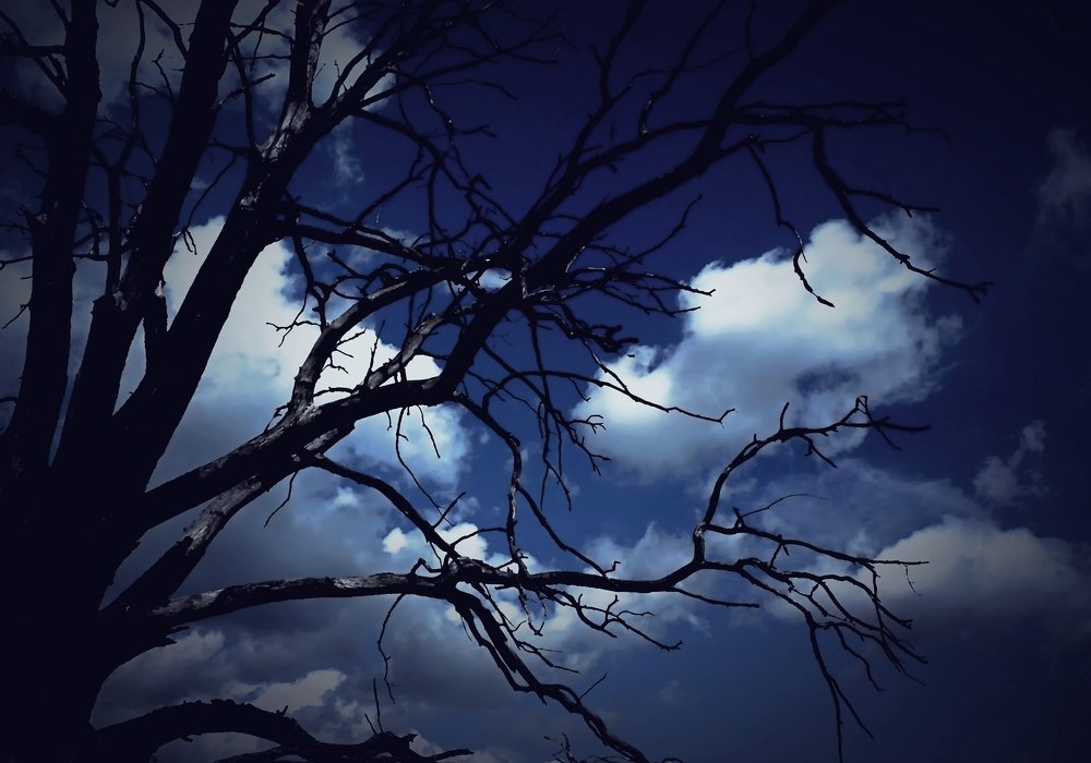 Photograph by Михаил Малец