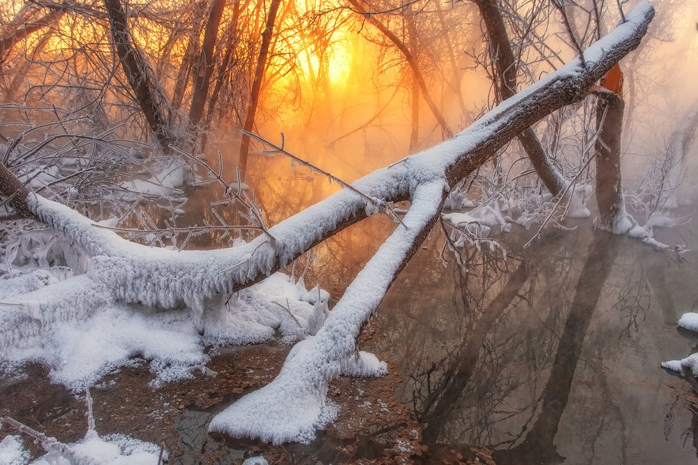 Photograph by Павел Сагайдак