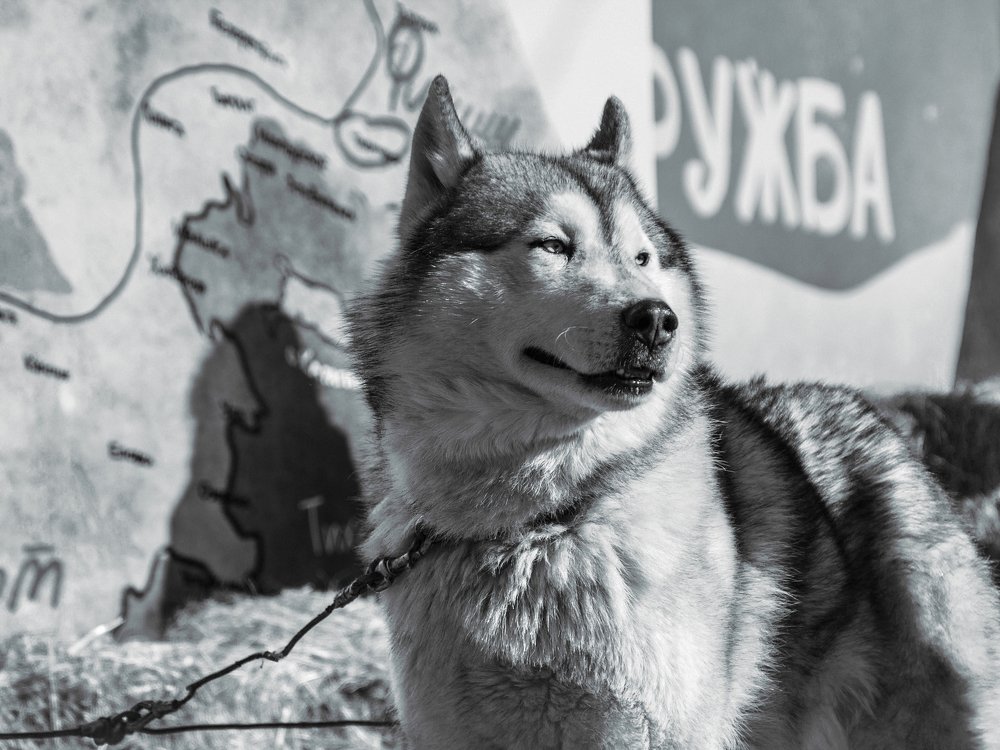 Photograph by Александр Васильев