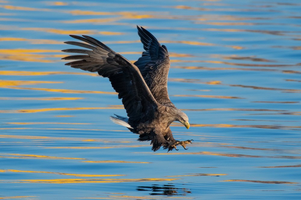 Photograph by Иван Боровков