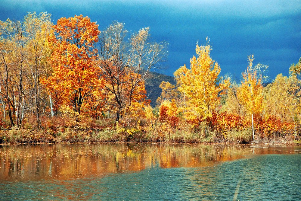 Золотая Осень