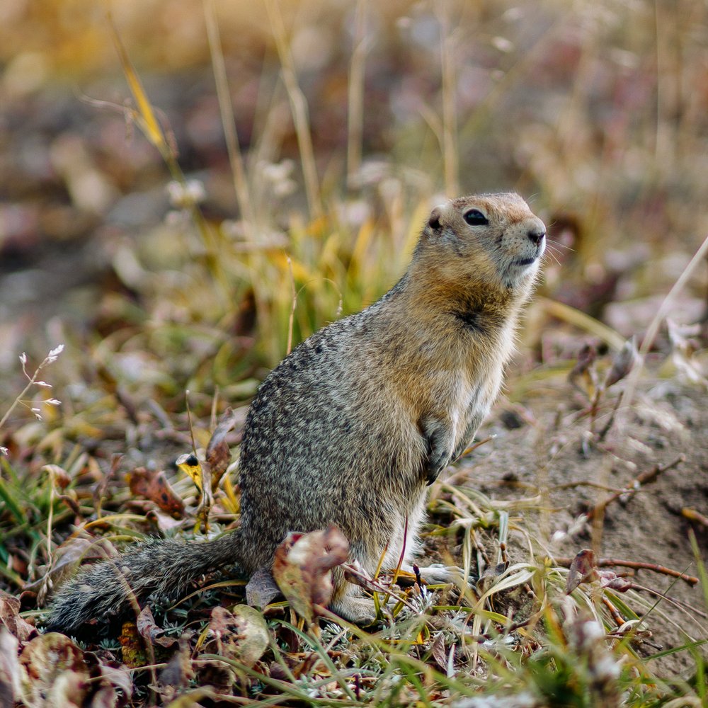 Photograph by Светлана