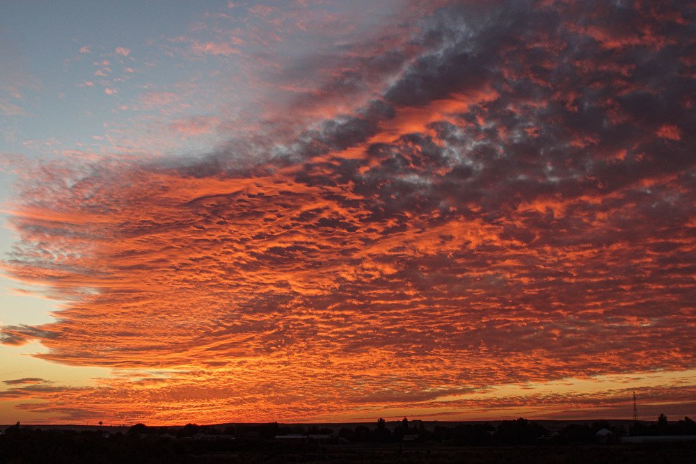 Photograph by Paul-Christian Kniestedt