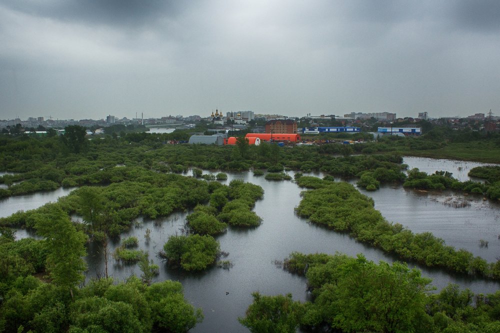 Photograph by владимир насекин