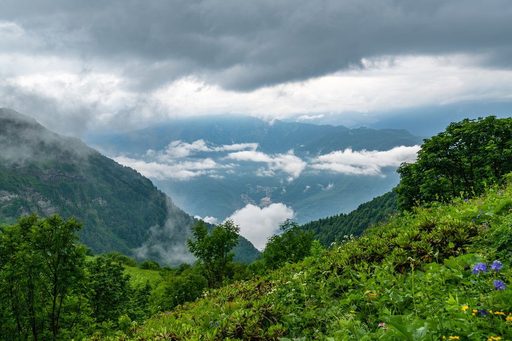 Взаимные симпатии