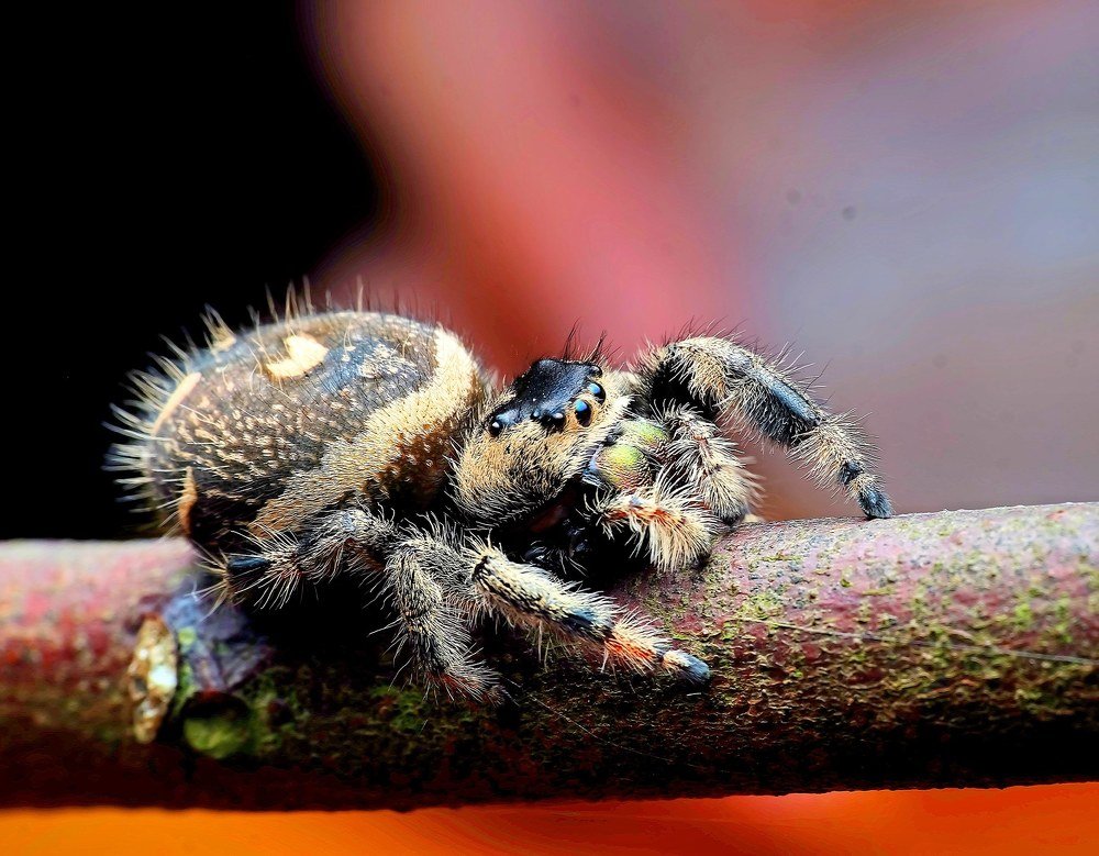 Photograph by kok onn Wong