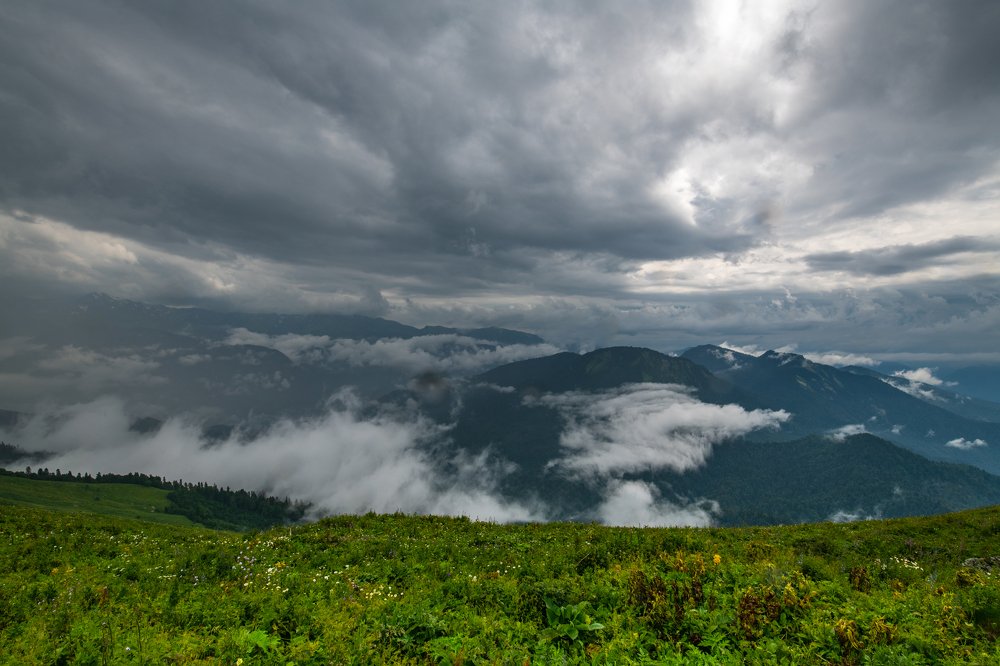 Давление и свобода
