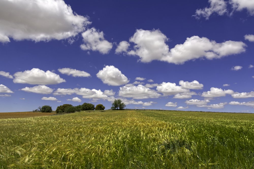 Photograph by Renatas Lileikis