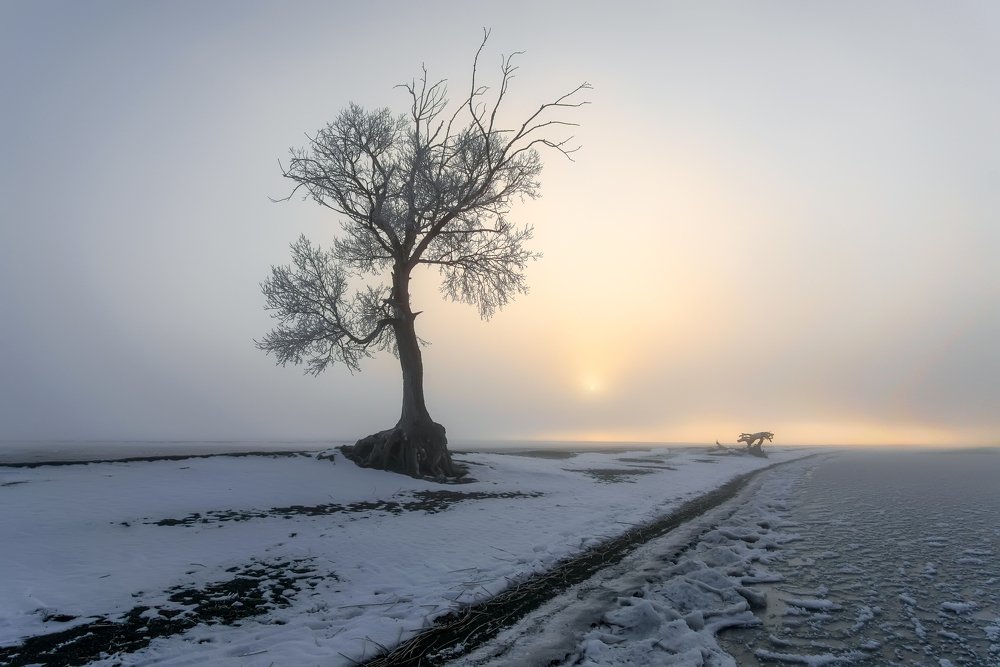 Photograph by Леонид Максименко