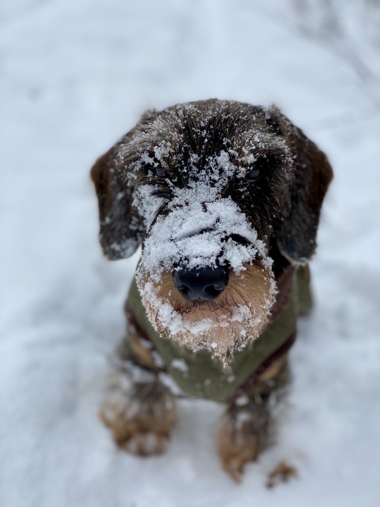 Photograph by Светлана Багликова