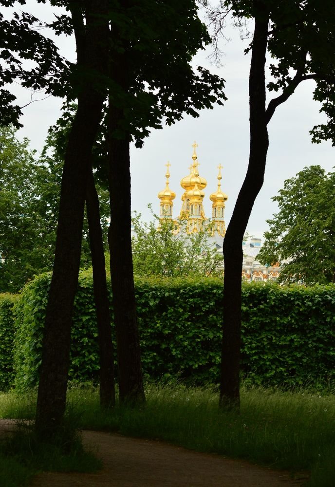 Фотография автора Гаврилова Мария