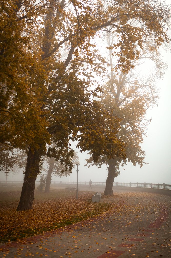 Photograph by Артём Будник