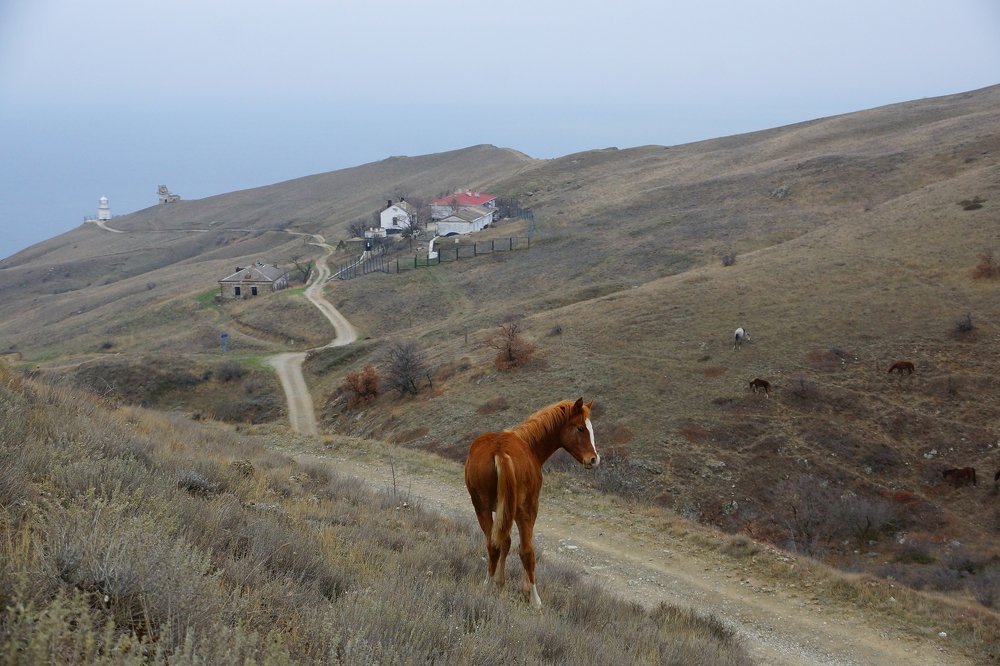 Встреча на мысе Меганом