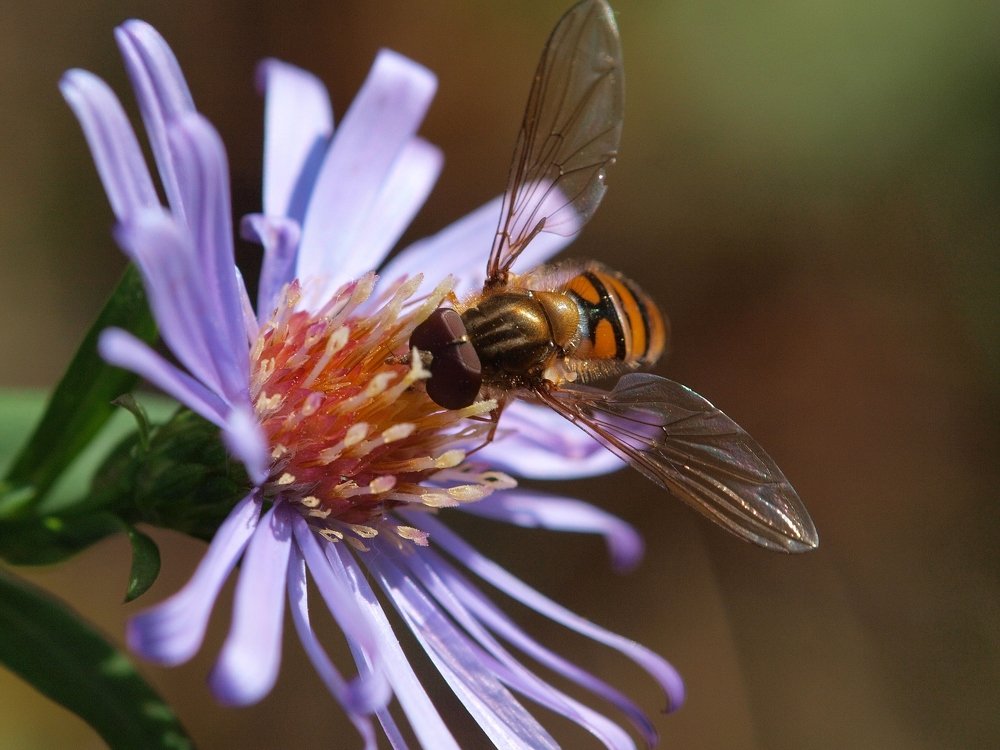 Последние дни уборки урожая.