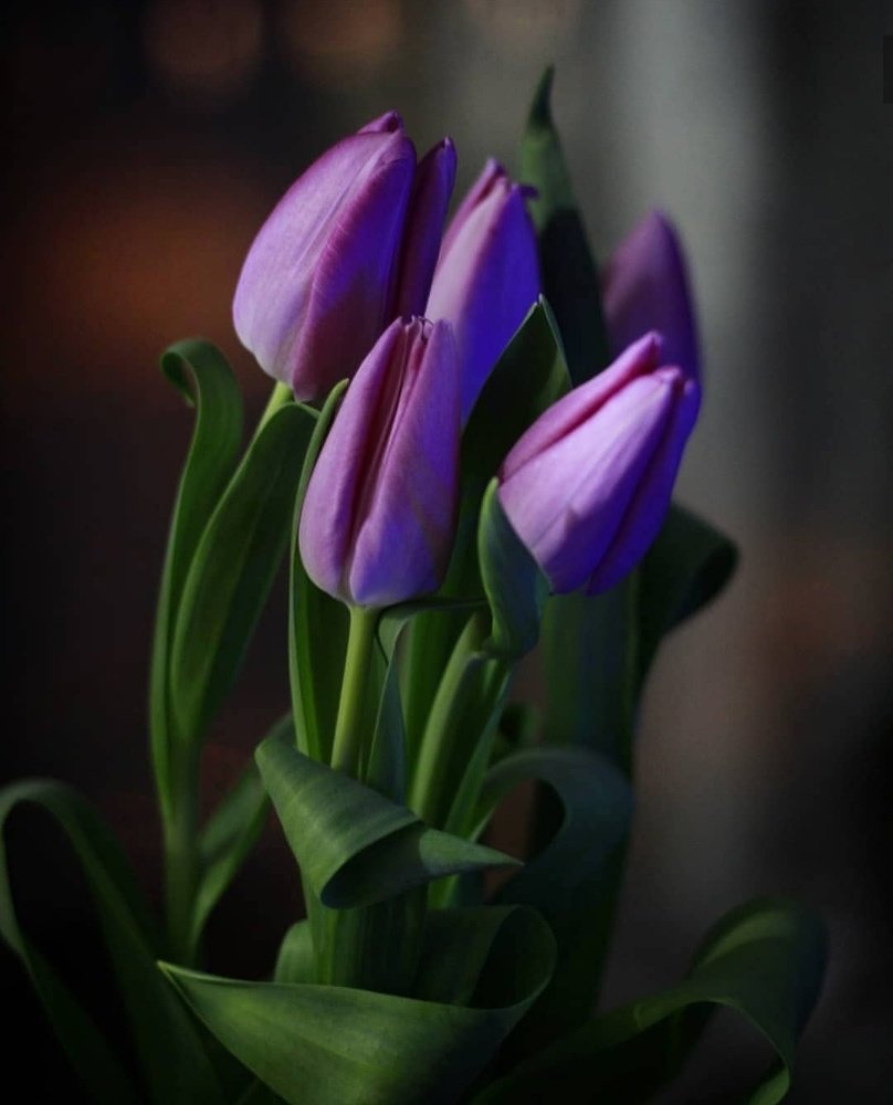 Запахло весной