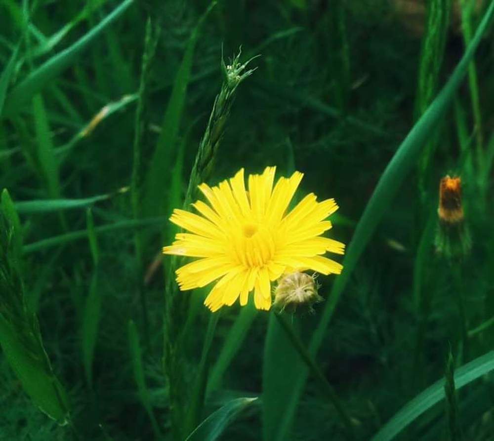 Photograph by mariamouinni