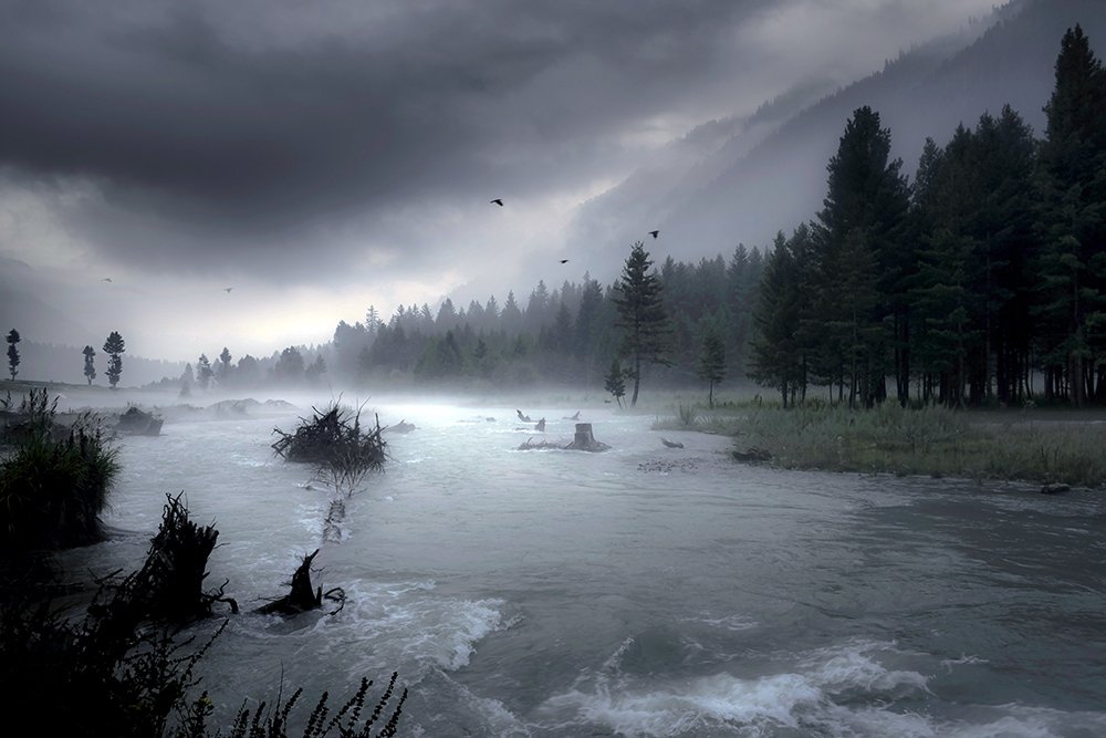 Poetry of the Earth !