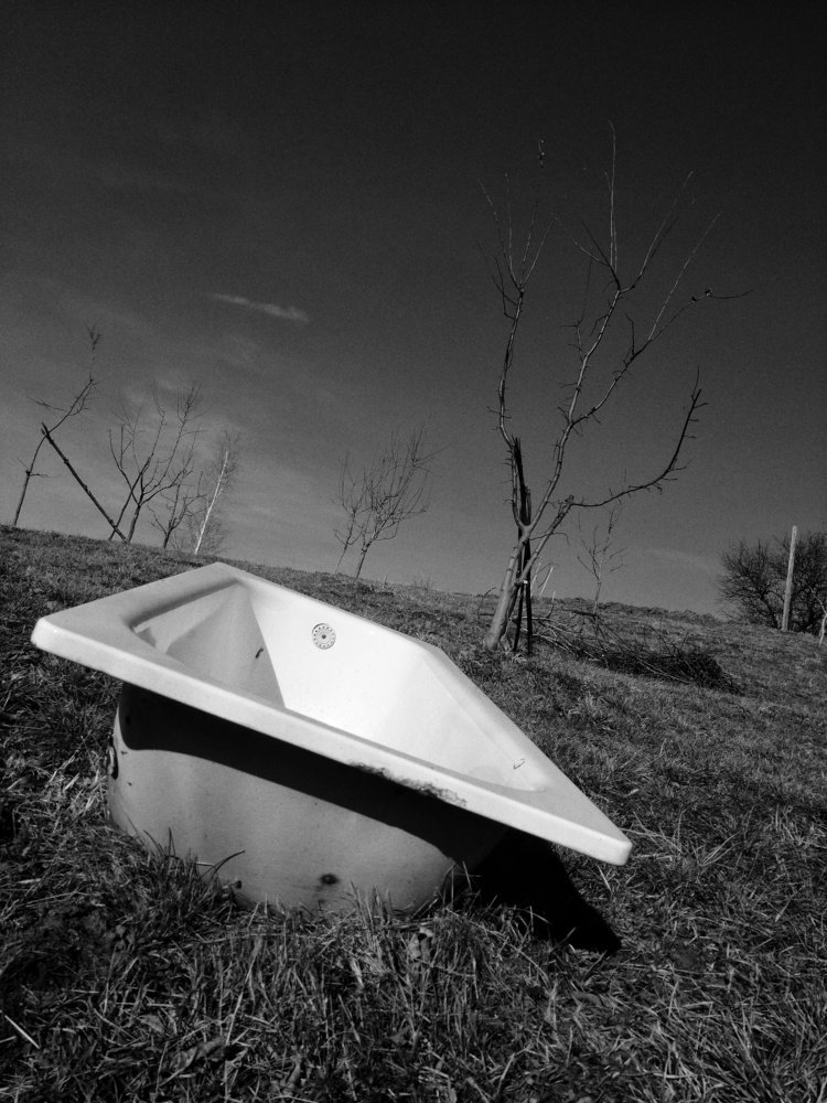 Photograph by Neda Petrovic