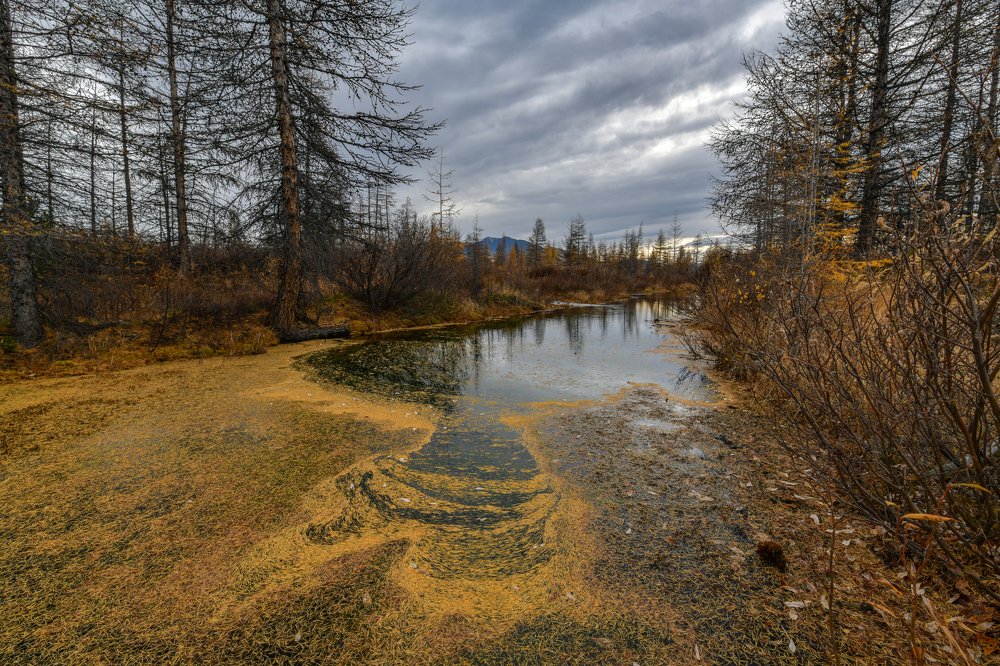 Завтра зима