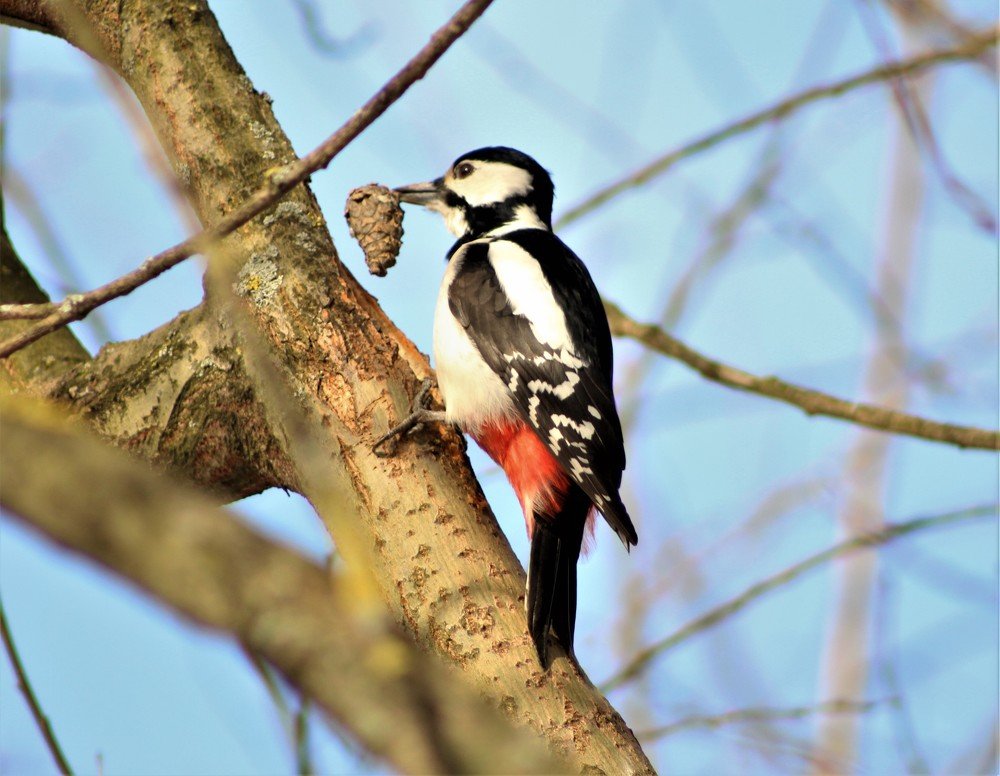 Photograph by Анастасия Рысь