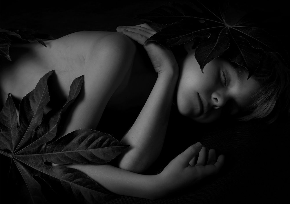 dream in the forest