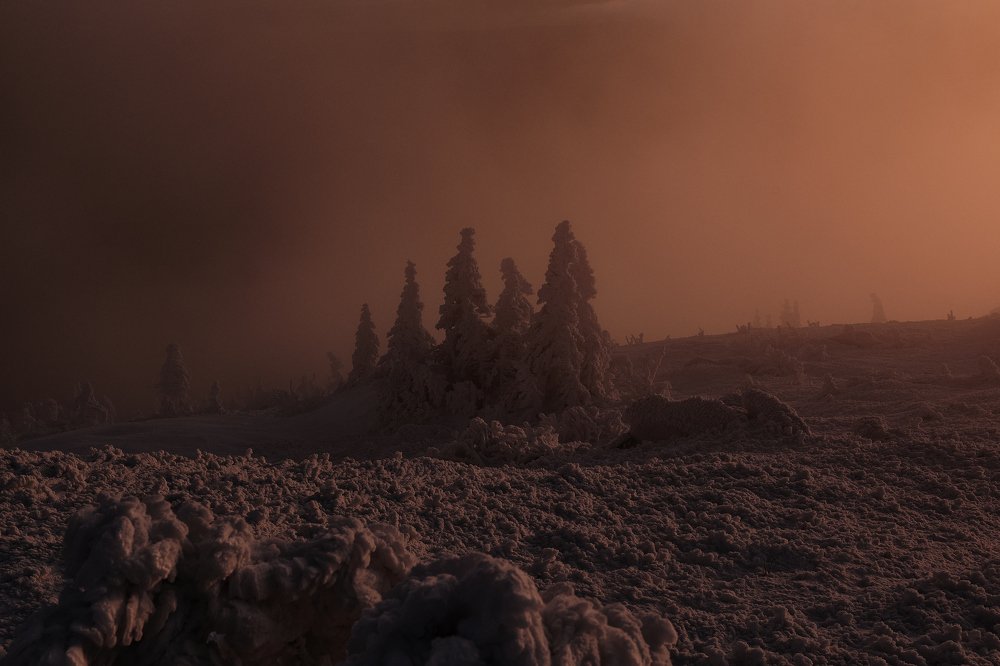 Photograph by Евгений Пташко