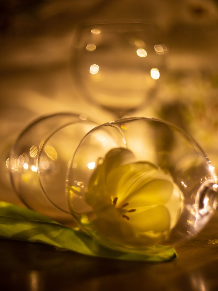 Photograph by Dinara Dinara