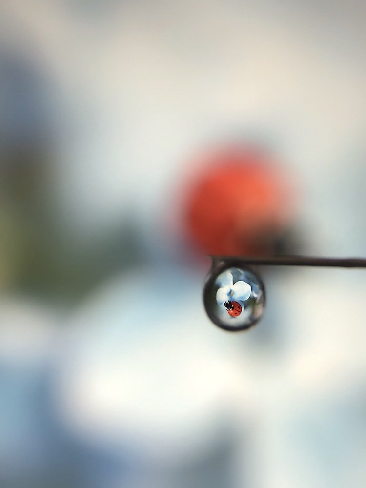 Photograph by Мария Берниц