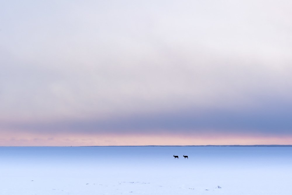 Photograph by Eiji Itoyama