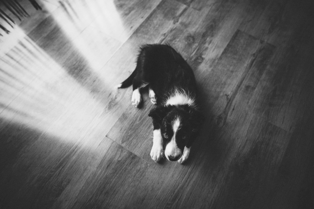 Photograph by Karina Saarestik