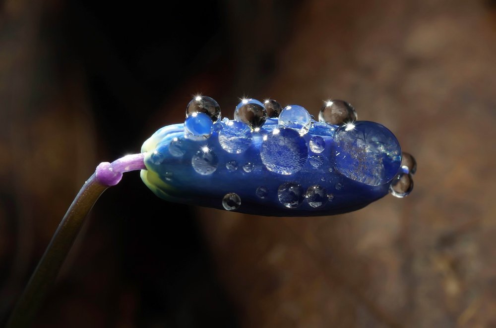 Photograph by Сергей Прокофьев