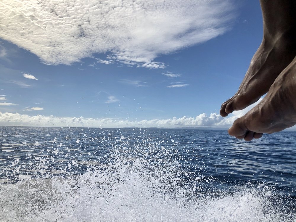 Photograph by Angella