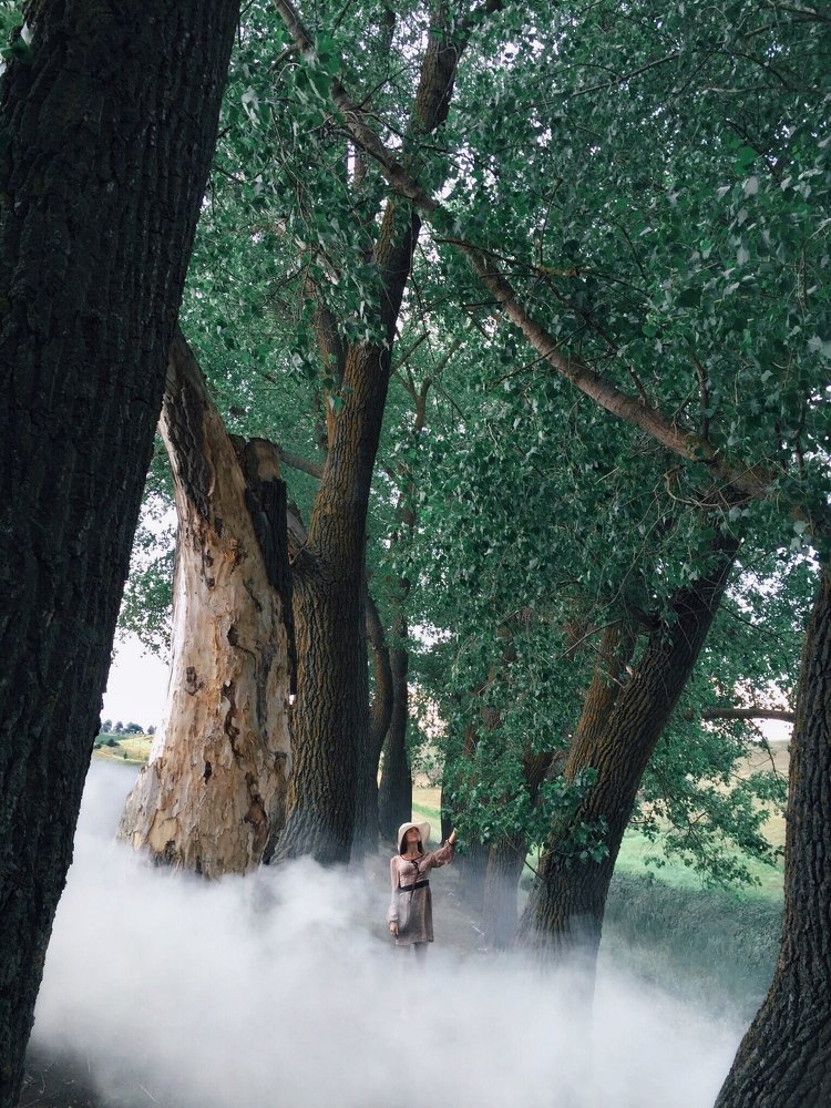 Photo #4392292