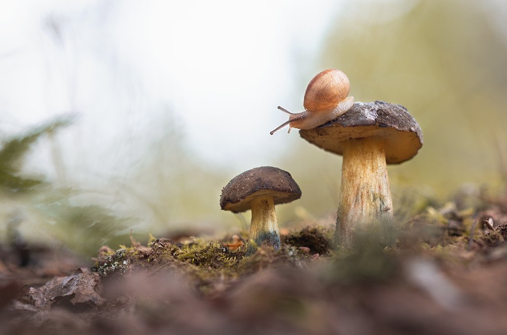 Photograph by Людмила Гудина