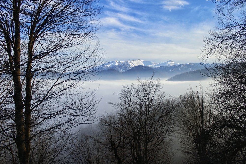 Photograph by Reyhane Ameri Pouya