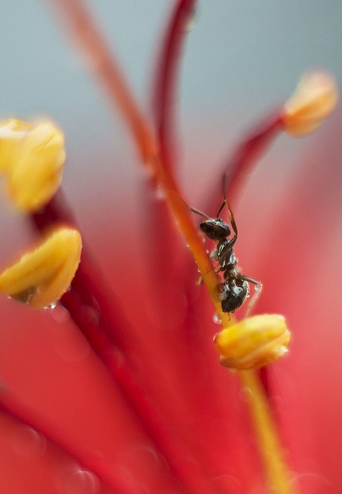 Photograph by Полина Васеева